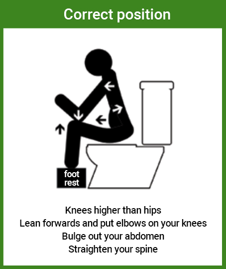 Correct Toilet Position Diagram 